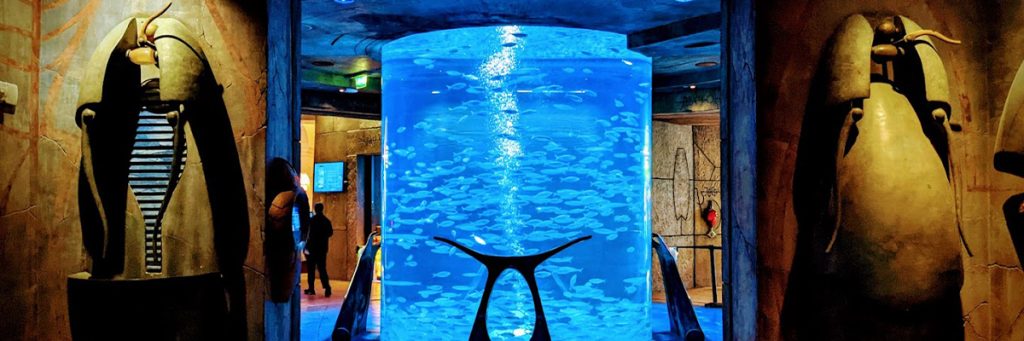 آکواریوم لاست چمبرز دبی (The Lost Chambers Aquarium)